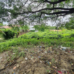  အရှေ့ဒဂုံမြေသီးသန့်အရောင်း Image, classified, Myanmar marketplace, Myanmarkt