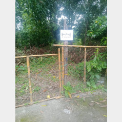  ပုသိမ်မြို့မြေကွတ်အရောင်း Image, classified, Myanmar marketplace, Myanmarkt