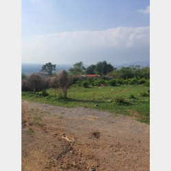  တောင်ကြီးမြို့မြေကွတ်အရောင်း Image, classified, Myanmar marketplace, Myanmarkt