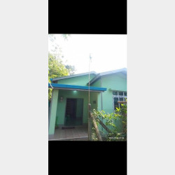  မှော်ဘီမြို့နယ်အိမ်အရောင်း Image, classified, Myanmar marketplace, Myanmarkt