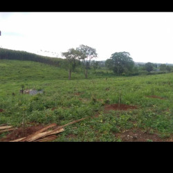  ပြင်းဦးလွင်မြို့နယ်မြေကွတ်အရောင်း Image, classified, Myanmar marketplace, Myanmarkt