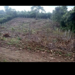  ပြင်းဦးလွင်မြေကွတ်အရောင်း Image, classified, Myanmar marketplace, Myanmarkt