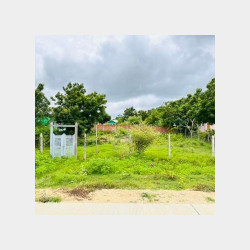  #ဇဝနဒီပရပ်ကွက် ခြံကွတ်အရောင်း Image, classified, Myanmar marketplace, Myanmarkt