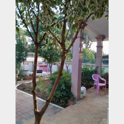  ပြင်ဦးလွင်မြို့ - ရပ်ကွက်ကြီး (၈)-အိမ်အရောင်း Image, classified, Myanmar marketplace, Myanmarkt