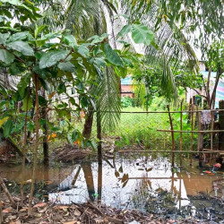  ရွှေပြည်သာမြို့၊ အမှတ် ၁၄ ရပ်ကွက်မြေကွတ်အရောင်း Image, classified, Myanmar marketplace, Myanmarkt