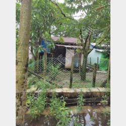  ဆိပ်ကမ်းသာလမ်းမကြီးကျောကပ်‌ဇီဇဝါလမ်းအိမ်ခြံအရောင်း Image, classified, Myanmar marketplace, Myanmarkt