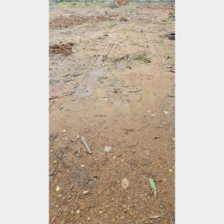  -ရန်ကင်းမြေကွက်ရောင်းမည်။ Image, classified, Myanmar marketplace, Myanmarkt