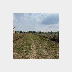  တောင်ဒဂုံ (146)ရပ်ကွက်  မြေကွတ်အရောင်း Image, classified, Myanmar marketplace, Myanmarkt