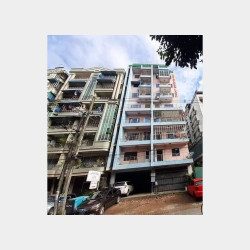  🌼နှင်းကြာဖြူကွန်ဒို.🌼အရောင်း Image, classified, Myanmar marketplace, Myanmarkt