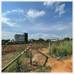  77 ရပ်ကွက် ​ထောင့်ကွက်အပါ (2)ကွက်တွဲ​ရောင်းပါမည် Image, classified, Myanmar marketplace, Myanmarkt