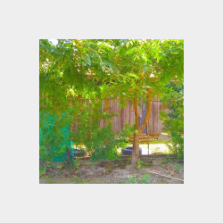  နေပြည်တော် ပုဗ္ဗသီရိမြို့အိမ်အရောင်း Image, classified, Myanmar marketplace, Myanmarkt