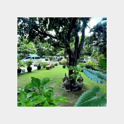  သင်္ဃန်းကျွန်း မြေကွက်ကျယ် အရောင်း Image, classified, Myanmar marketplace, Myanmarkt