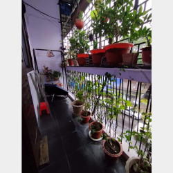  ဒဂုံမြို့နယ် တိုက်ခန်းအရောင်း Image, classified, Myanmar marketplace, Myanmarkt