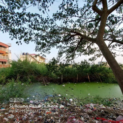  ဒဂုံဆိပ်ကမ်း 89 ရပ်ကွက် မြေကွတ်အရောင်း Image, classified, Myanmar marketplace, Myanmarkt