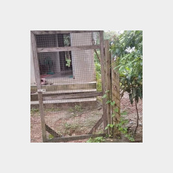  ပဲခူးမြို့သရက်တော၅လမ်းကုန်းပေါတန်းမှာအိမ်အရောင်း Image, classified, Myanmar marketplace, Myanmarkt