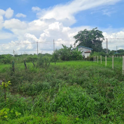  မြနန္ဒာလမ်းမကြီးကျောကပ်ရှိမြေကွက်အရောင်း Image, classified, Myanmar marketplace, Myanmarkt