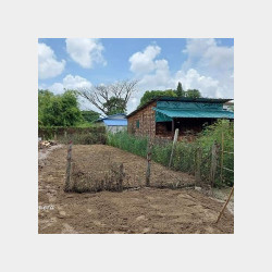  91 ရပ်ကွက် ခြံအရောင်း Image, classified, Myanmar marketplace, Myanmarkt