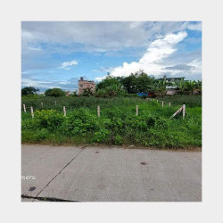  ပဲခူးမြစ်လမ်းမကြီးဒဲ့ဆင်းရှိနေရာကောင်းမြေကွက်အရောင်း Image, classified, Myanmar marketplace, Myanmarkt