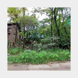  53 ရပ်ကွက် ခြံအရောင်း Image, classified, Myanmar marketplace, Myanmarkt