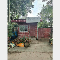  19 ရပ်ကွက် ခြံအရောင်း Image, classified, Myanmar marketplace, Myanmarkt