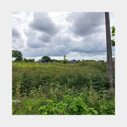  ဒဂုံဆိပ်ကမ်း 85 ရပ်ကွက် မြေကွတ်အရောင်း Image, classified, Myanmar marketplace, Myanmarkt