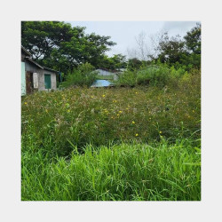  81 ရပ်ကွက် ခြံအရောင်း Image, classified, Myanmar marketplace, Myanmarkt