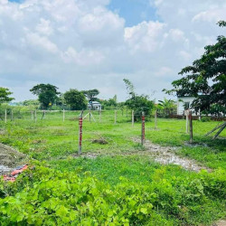  81 ရပ်ကွက် ခြံအရောင်း 💁‍♀️ Image, classified, Myanmar marketplace, Myanmarkt