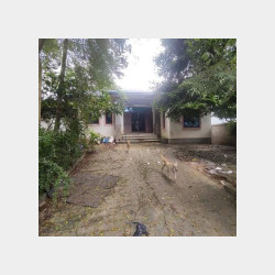  မစိုးရိမ်လမ်းသွယ်လုံးချင်း​လေး​ရောင်းမယ်။ Image, classified, Myanmar marketplace, Myanmarkt