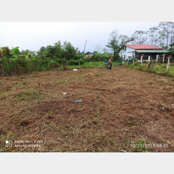  ခြံရောင်းမည်၊မှော်ဘီမြို့။ Image, classified, Myanmar marketplace, Myanmarkt