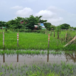  ဒဂုံဆိပ်ကမ်း (85)ရပ်ကွက် မြေကွက်အမှတ်(136 Image, classified, Myanmar marketplace, Myanmarkt