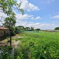  လုပ်ငန်းလုပ်ရန် <7>ကွက်တွဲကြီးရောင်းပါမည် 🧚‍♀️ Image, classified, Myanmar marketplace, Myanmarkt