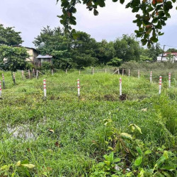  ပဲခူးမြစ်လမ်းမကြီးဒဲ့ဆင်း​​​ #ဇေယျာသီရိလမ်းကျယ်​​​ပေါ်​မြေကွက်အ​ရောင်း Image, classified, Myanmar marketplace, Myanmarkt