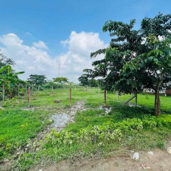  81 ရပ်ကွက် ခြံအရောင်း 💁‍♀️ Image, classified, Myanmar marketplace, Myanmarkt