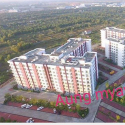  စွယ်တော်စီးတီးကွန်ဒို Image, classified, Myanmar marketplace, Myanmarkt