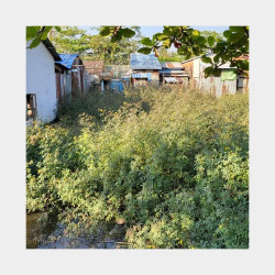  ဒဂုံဆိပ်ကမ်း 69ရပ်ကွက် #မင်းရဲကောင်းပုံလမ်း Image, classified, Myanmar marketplace, Myanmarkt