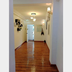  သင်္ဃန်းကျွန်းမြို့နယ်_ရိပ်သာလမ်း_လေးထောင့်ကန် Image, classified, Myanmar marketplace, Myanmarkt