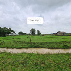  150 ရပ်ကွက် ​မြေကွက်အမှတ် Image, classified, Myanmar marketplace, Myanmarkt