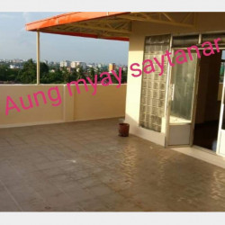  စကားဝါကွန်ဒို Image, classified, Myanmar marketplace, Myanmarkt