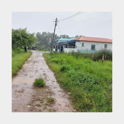  ဒဂုံဆိပ်ကမ်း 85ရပ်ကွက် Image, classified, Myanmar marketplace, Myanmarkt