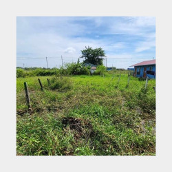  ဒဂုံဆိပ်ကမ်း (69)ရပ်ကွက် မြေကွက်အမှတ်(704) Image, classified, Myanmar marketplace, Myanmarkt