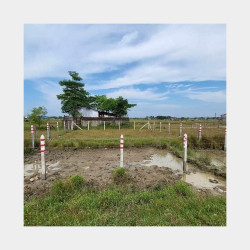  145ရပ်ကွက် ​မြေကွက်အရောင်း Image, classified, Myanmar marketplace, Myanmarkt