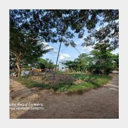  🧚‍♀️ပဲခူးမြစ်လမ်းမကြီးအနီး|​မြေကွက်အမှတ်-481| Image, classified, Myanmar marketplace, Myanmarkt