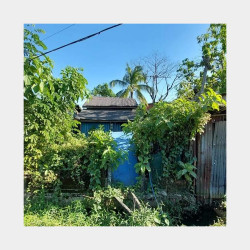  လှော်ကားလမ်းမကြီး​ကျောကပ် | Image, classified, Myanmar marketplace, Myanmarkt