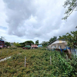  ဒဂုံဆိပ်ကမ်း (90)ရပ်ကွက် မြေကွက်အမှတ်(269) Image, classified, Myanmar marketplace, Myanmarkt