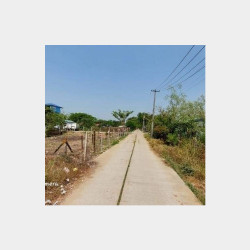  🍏​ရွှေသံလွင်နှင့် ဧရာဝတီလမ်းဒဲ့​ပေါက်| Image, classified, Myanmar marketplace, Myanmarkt