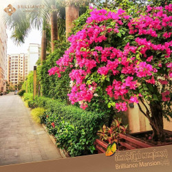  #ပြည်လမ်းမကြီးအနီး၊စိန့်ဂျွန်းစီးတီးမောလ်အနီး ၊ မင်းရဲကျော်စွာလမ်းမပေါ်ရှိ Image, classified, Myanmar marketplace, Myanmarkt