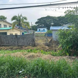  မြောက်ဒဂုံမြို့နယ် Image, classified, Myanmar marketplace, Myanmarkt