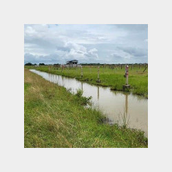  🍓တောင်ဒဂုံ (153)ရပ်ကွက် မြေကွက်အမှတ်(2211) Image, classified, Myanmar marketplace, Myanmarkt