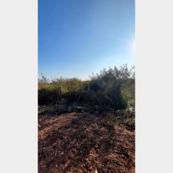  🍇ဒဂုံဆိပ်ကမ်း (84)ရပ်ကွက် ​မြေကွက်အမှတ်(100) ​​​ Image, classified, Myanmar marketplace, Myanmarkt