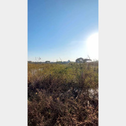  ဒဂုံဆိပ်ကမ်း (84)ရပ်ကွက် ​မြေကွက်အမှတ်(129) ​​ Image, classified, Myanmar marketplace, Myanmarkt